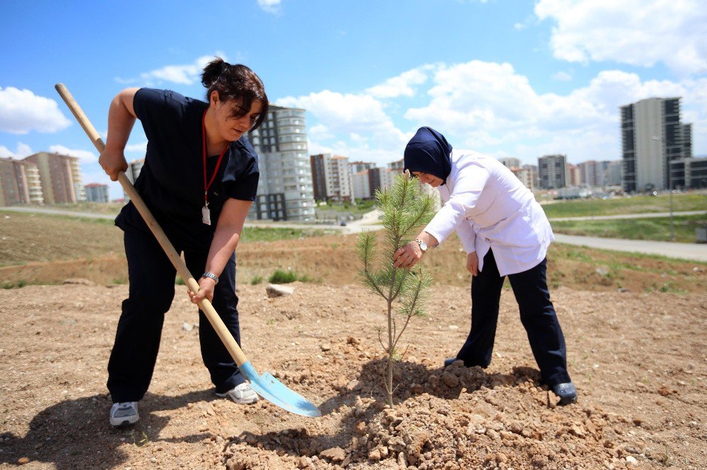 Yenimahalle Belediyesinden Hemşirelere Yeşil Jest