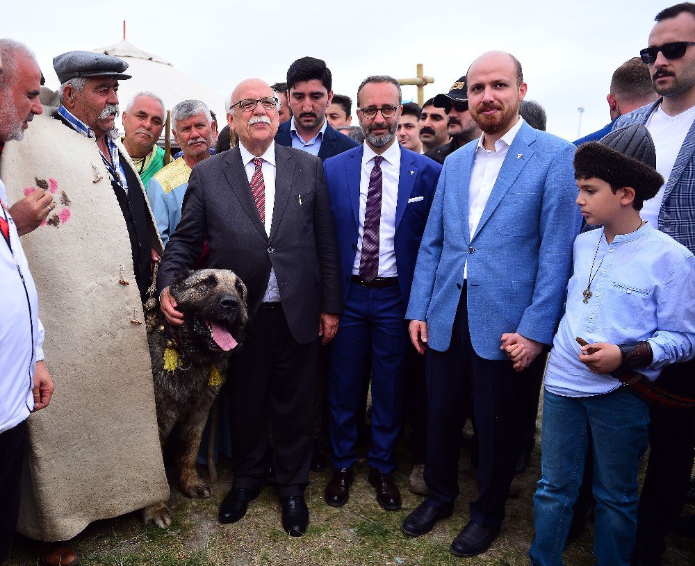 Bakan Nabi Avcı Ve Bilal Erdoğan Festival Alanını Gezdi