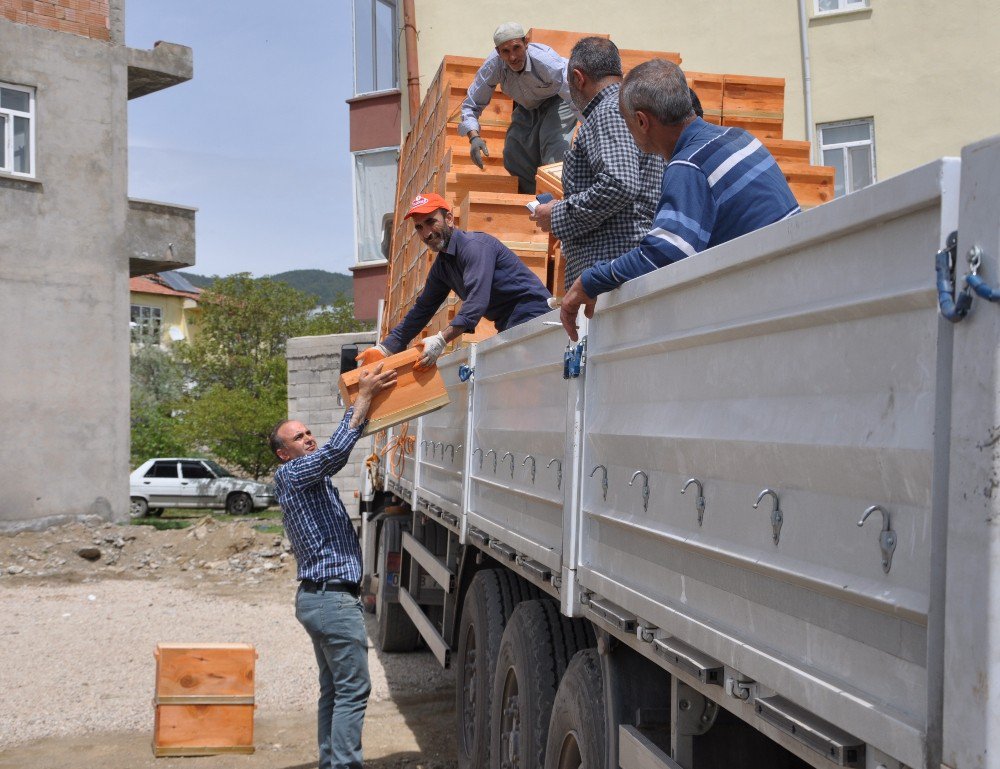 Sincik’te Bin 50 Adet Arılı Kovan Dağıtıldı