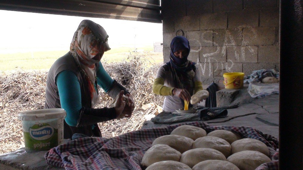 Ekmeklerini Tandırdan Çıkarıyorlar