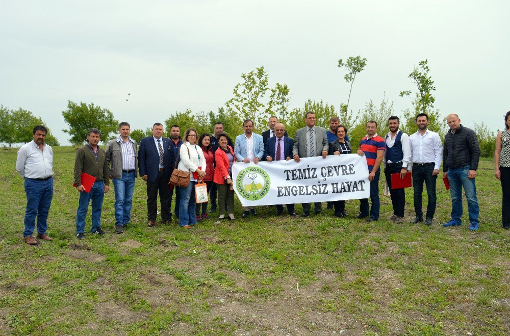 Lüleburgaz’da Bin Toros Sediri Dikildi