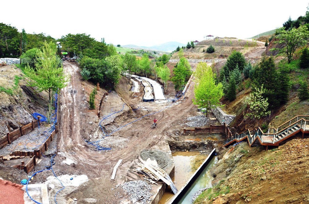 Dağlardan Gelen Şifa Kaynağı İspendere İçmeleri