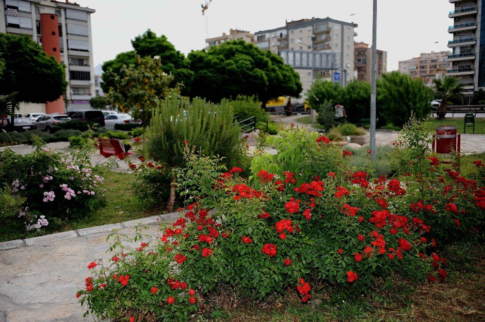 Karşıyaka Yaz Çiçekleriyle Süsleniyor