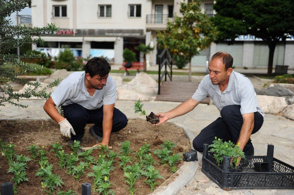 Karşıyaka Yaz Çiçekleriyle Süsleniyor