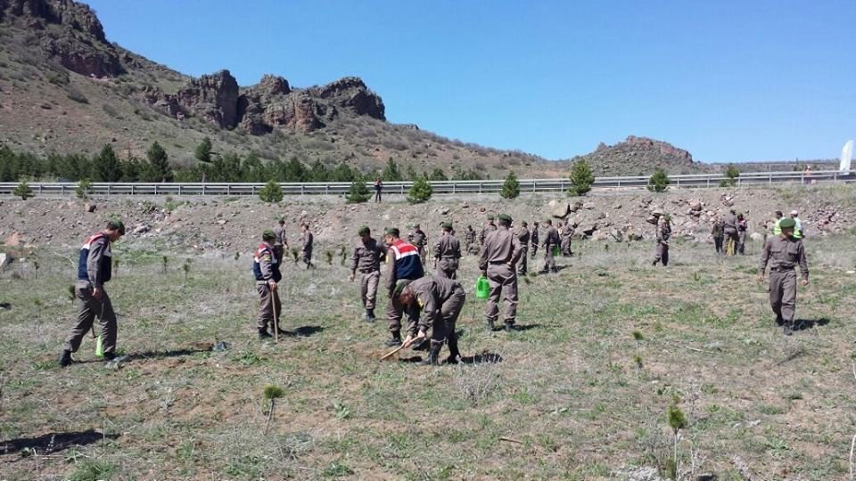 Kütahya Jandarması 300 Fidan Dikti