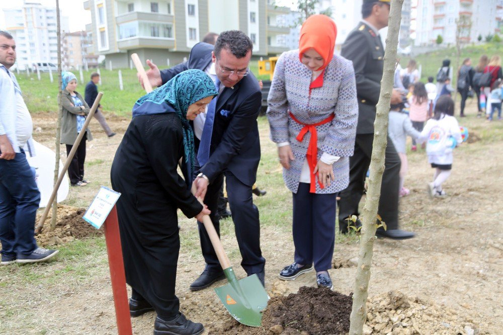 En Özel Anneler Fidan Dikti