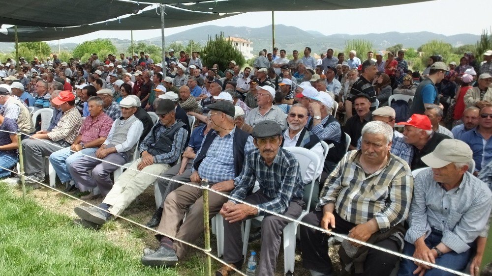 Burhaniye Güreşlerinde Fatih Atlı Başpehlivan Oldu