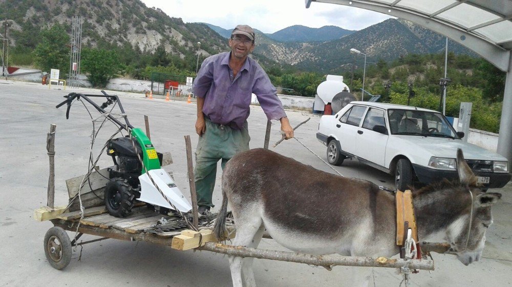 Tek Eşeği İle Çiftçilik Yapıyor