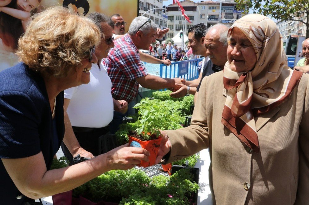 Manisa’da Annelere 5 Bin Adet Fesleğen Dağıtıldı