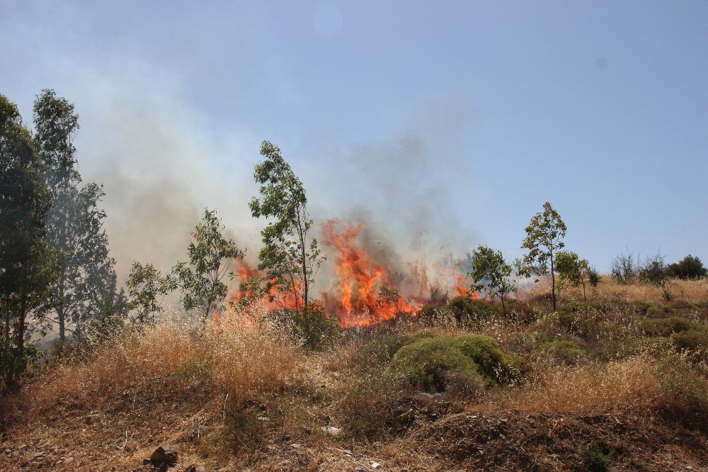 Bodrum’da Makilik Alanda Yangın