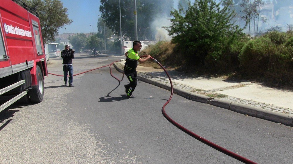 Bodrum’da Makilik Alanda Yangın