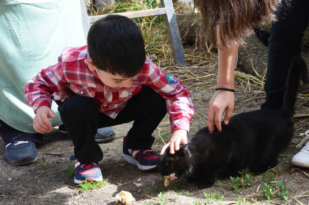 Mert Efe’nin Kedi Sevgisi Kaybolmasına Neden Oldu