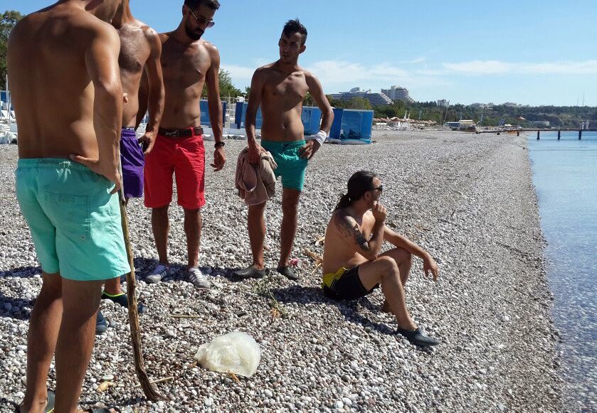 Antalya’da Yaklaşık 10 Kilogram Ağırlığındaki Zehirli Denizanası Sahile Vurdu