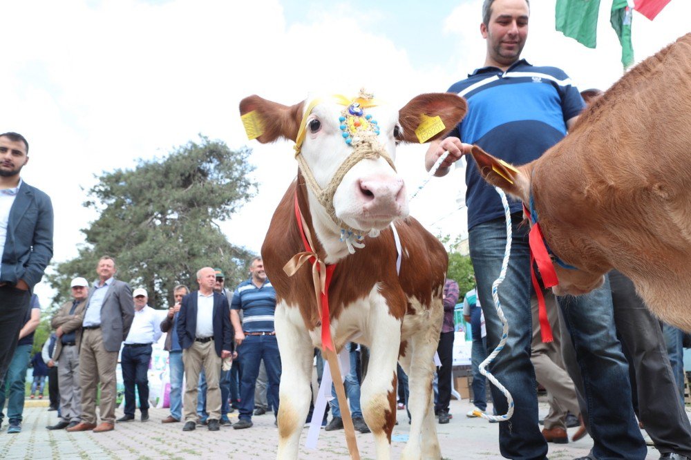 Arnavutköy’de “Çiftçiler Bayramı” Kutlandı