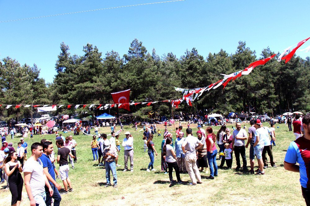 Söke’de Karadeniz Horonu Ve Ege Zeybeği 15. Kez Buluştu