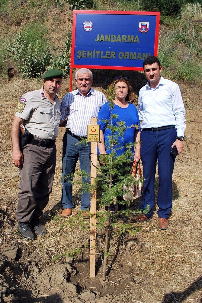 Manisa’da Her Şehit İçin Bir Fidan Dikildi