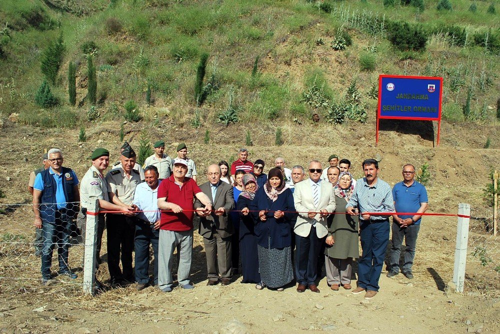 Manisa’da Her Şehit İçin Bir Fidan Dikildi