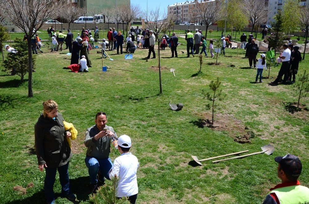 Palandöken Belediyesi Öğrenciler İle Birlikte Fidan Dikti