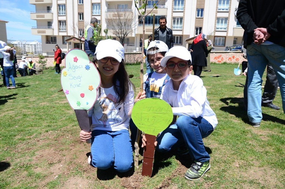 Palandöken Belediyesi Öğrenciler İle Birlikte Fidan Dikti