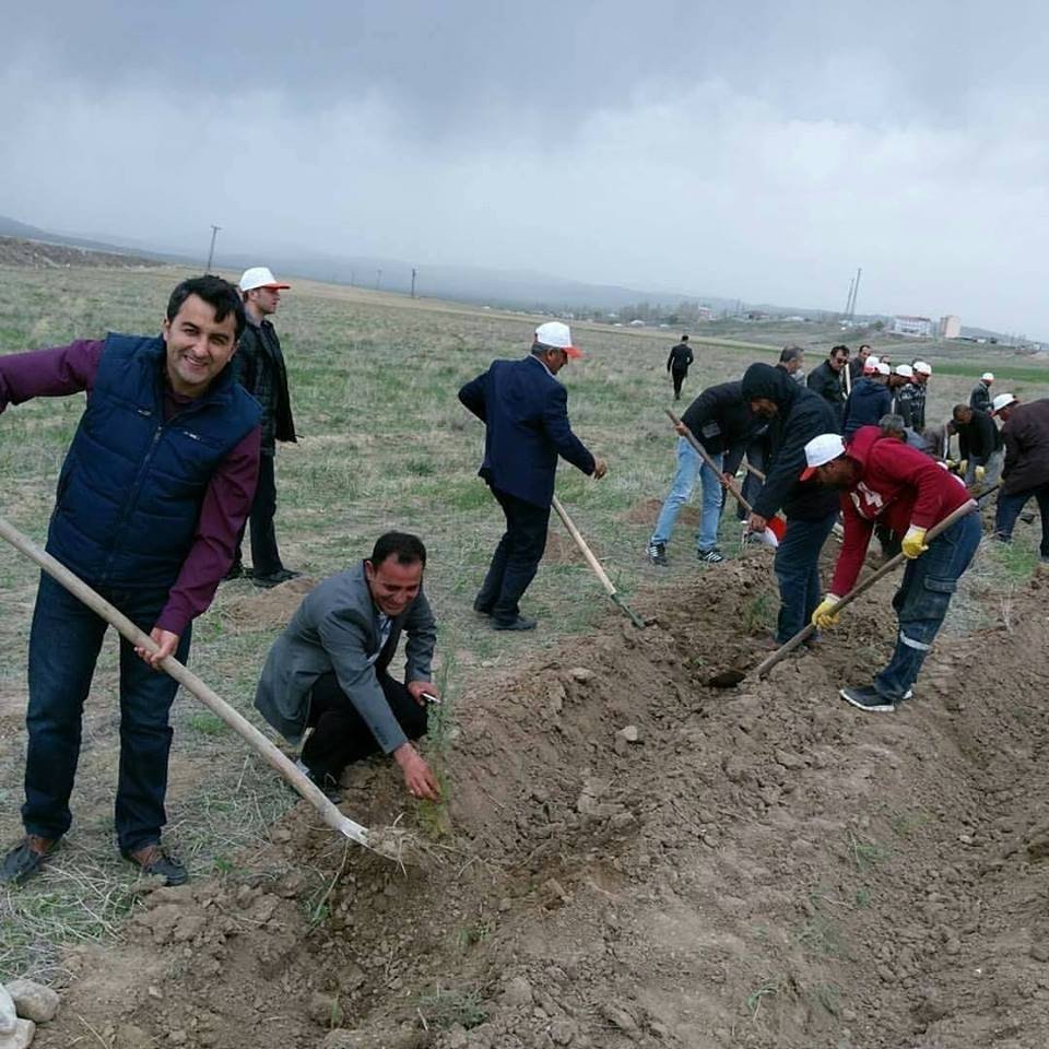 Saray’da 3 Bin Çam Fidanı Dikildi