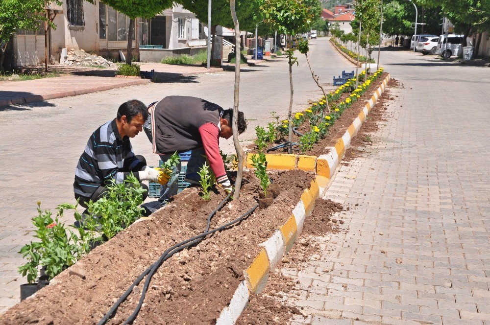 Yazlık Çiçek Dikimi Devam Ediyor