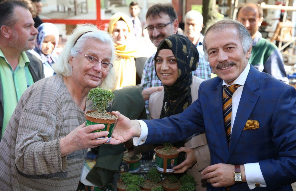 Bayrampaşa Yine Fesleğen Kokacak