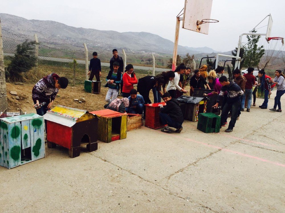 Kulplu Öğrenciler Sokak Hayvanları İçin Barınak Yaptı