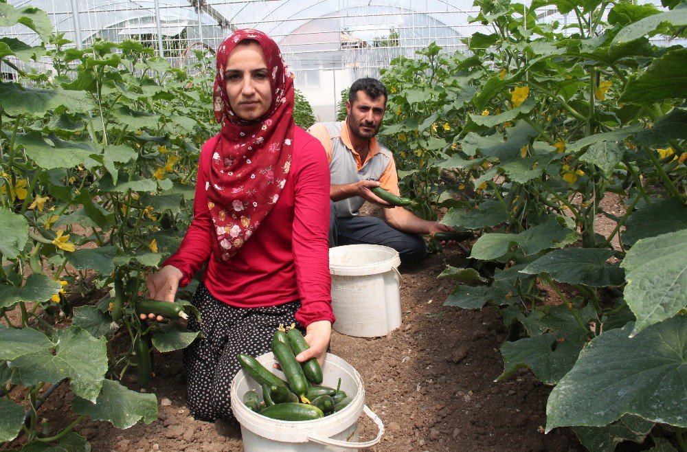 3 Çocuk Annesi Kendi İşinin Patronu Oldu