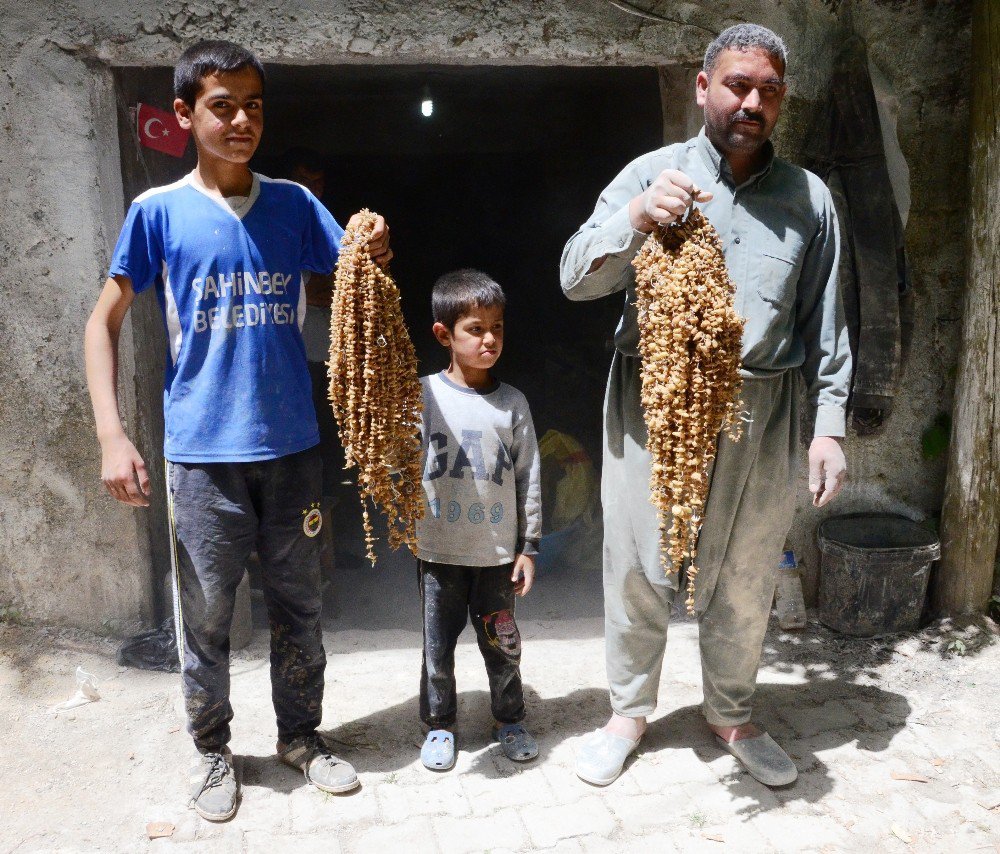 Öğütülen Orkide Kökleri Türkiye’nin Tek Su Değirmeninde Salebe Dönüştürülüyor