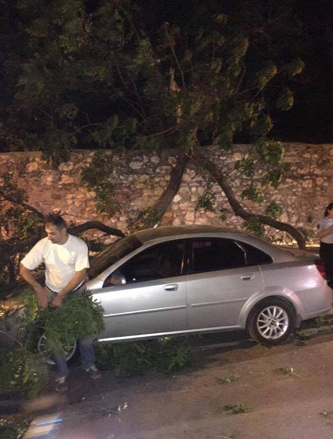 İzmir’de Otomobilin Üzerine Ağaç Devrildi