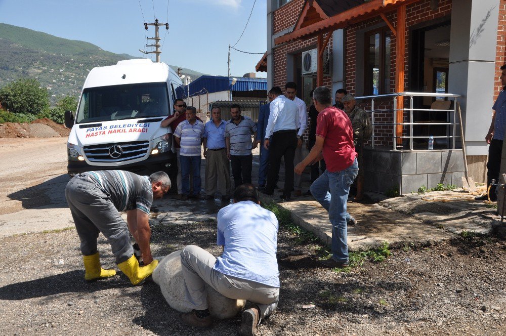 Payas Belediyesi Hasta Nakil Aracı Hizmete Girdi