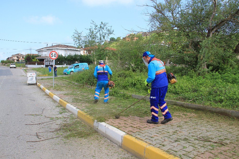 Şile’de Temizlik Hareketi