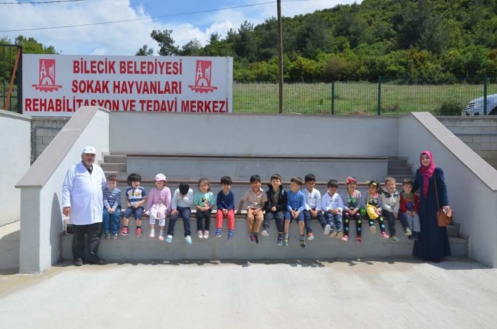 Minikler Sokak Hayvanları Tedavi Ve Rehabilitasyon Merkezi’ni Gezdi