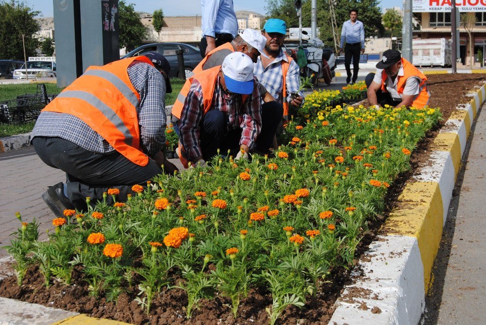 Şanlıurfa Çiçeklerle Donatılıyor