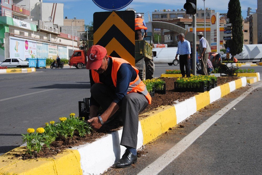 Şanlıurfa Çiçeklerle Donatılıyor