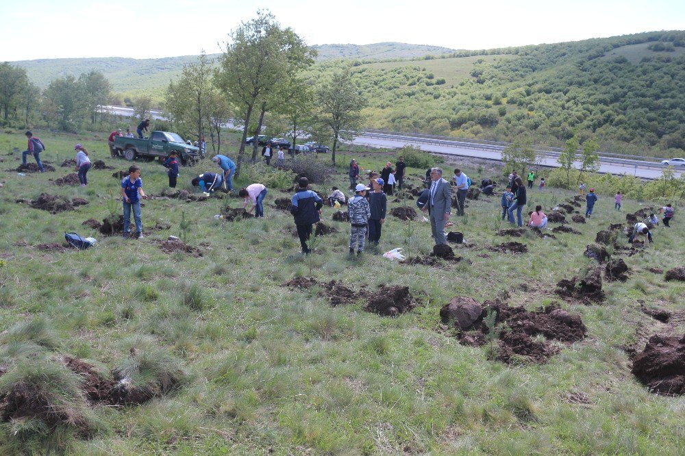 İnönü’ye Şehitlik Ormanı