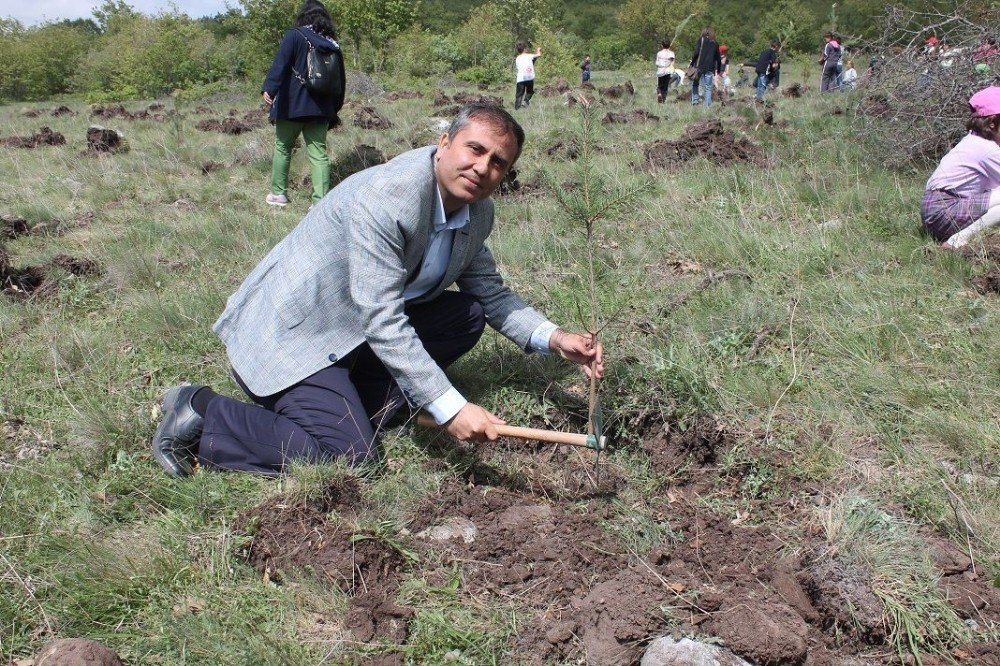 İnönü’ye Şehitlik Ormanı