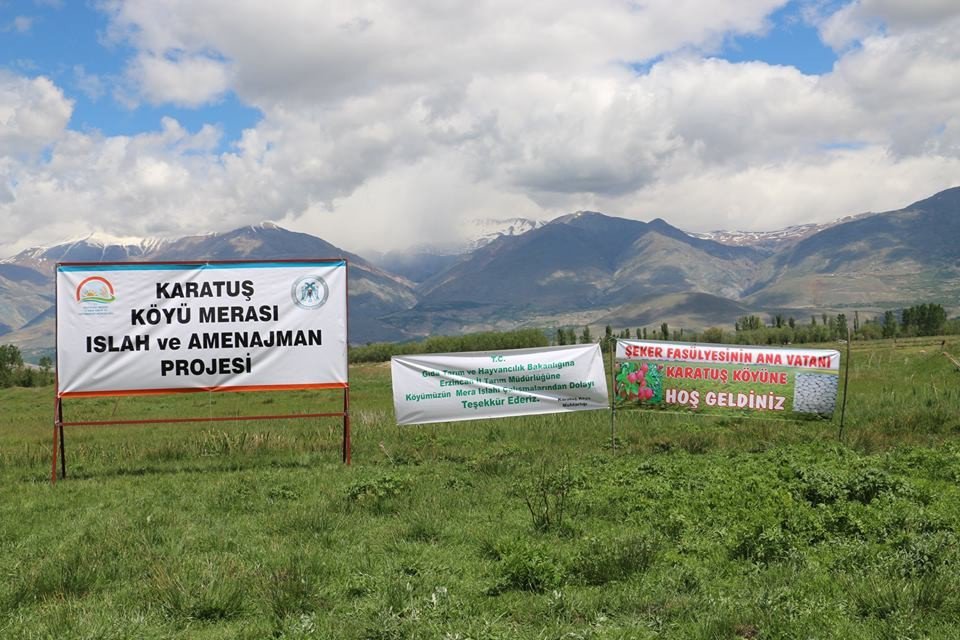 Karatuş Köyü Merası Otlatmaya Açıldı