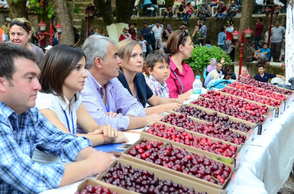 Kemalpaşa’da 46. Altın Kiraz Festivali