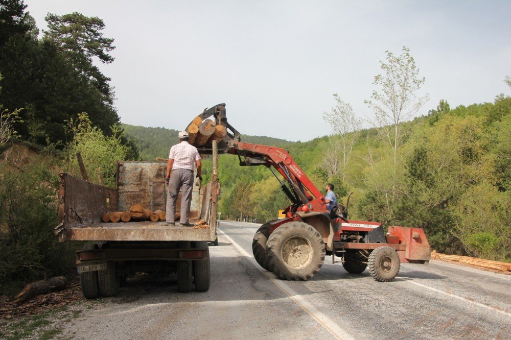 Yaptıkları Aparatla Ormanların Bakım Ve Gençleştirme Çalışmalarını Hızlandırdılar