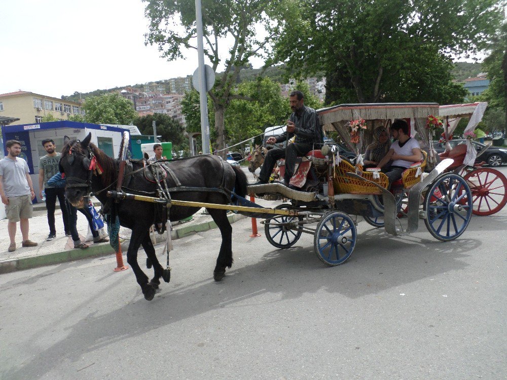 Mudanya’da Faytonlu Nostaljisi