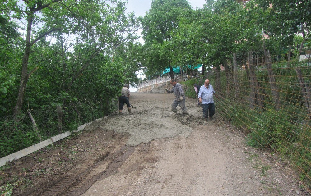 Fatsa’da Beton Yol Çalışması