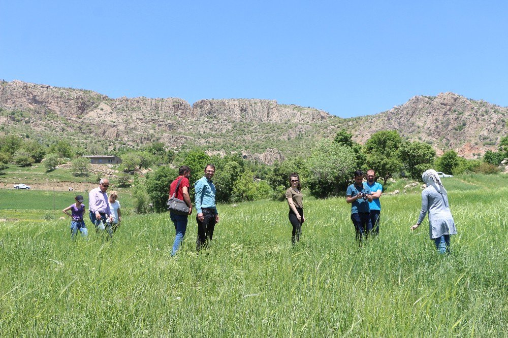 Şırnak’ta Hemşire Ve Ebeler İçin Piknik Düzenlendi