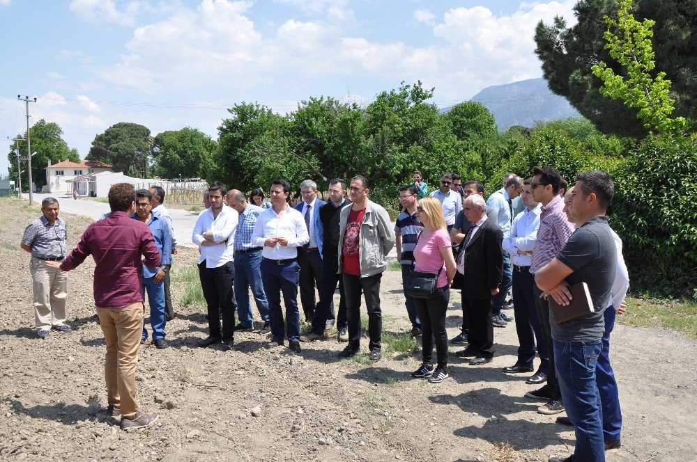 Üzüm Rekoltesinde Komisyon Çalışmaları Başladı