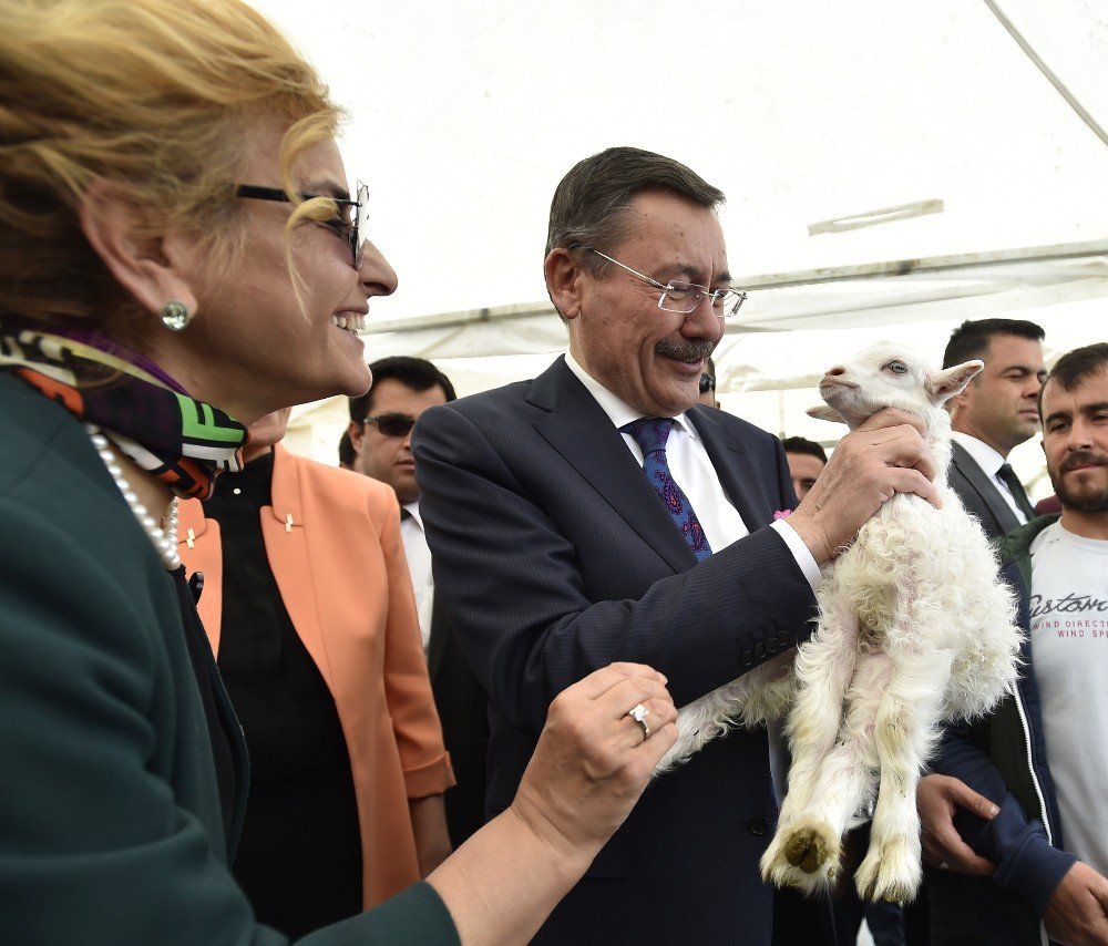 Türkiye’nin İlk Çoban Fuarı Ankara’da Açıldı