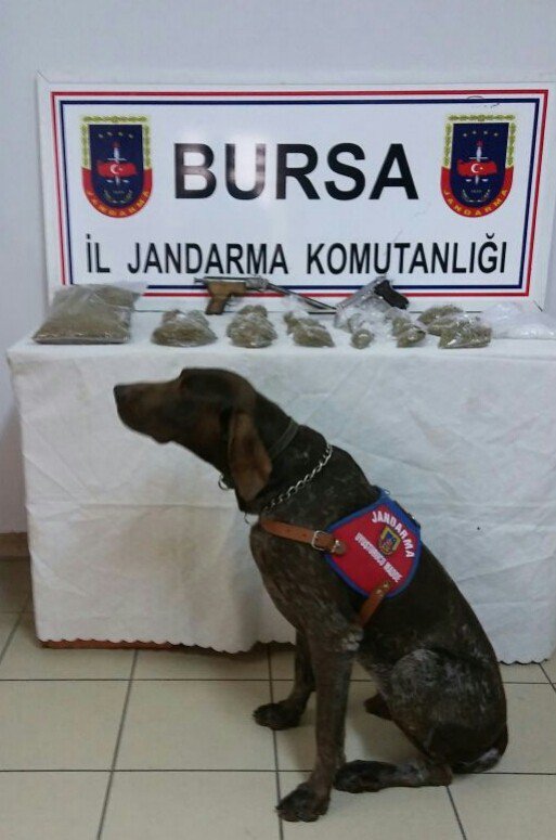 Bursa’da Jandarmadan Uyuşturucu Operasyonu