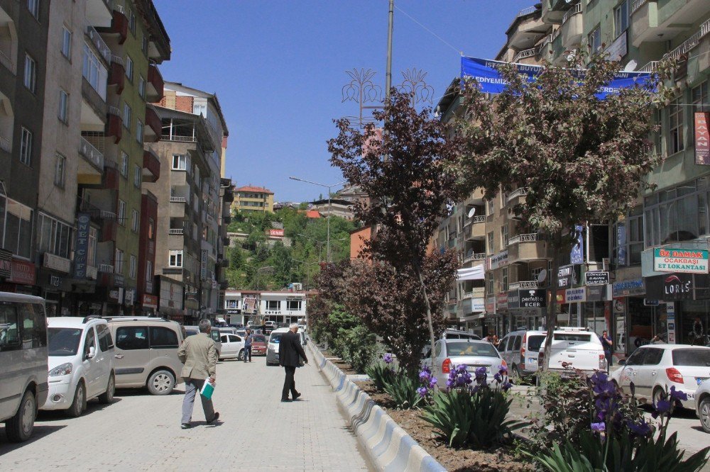 Hakkari Yöreye Has Çiçeklerle Renklenecek