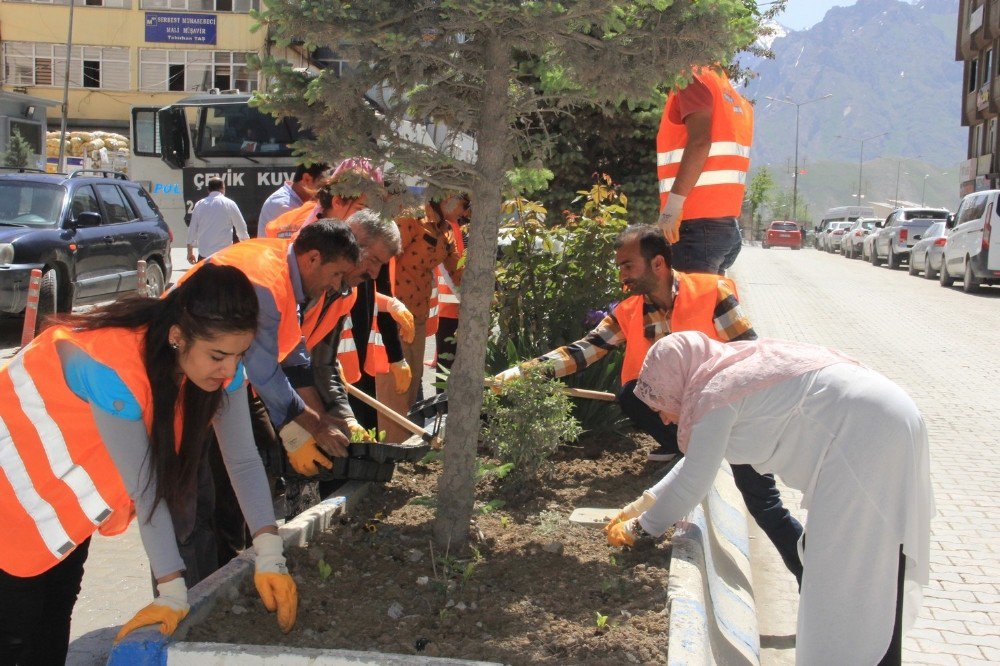 Hakkari Yöreye Has Çiçeklerle Renklenecek