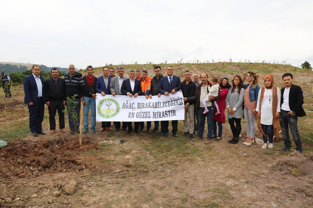 Körfez’de 5 Bin Fidan Toprakla Buluştu