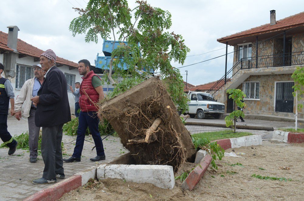 Sokağa Giren Tır, Elektrik Tellerini Koparıp Ağacı Yerinden Söktü